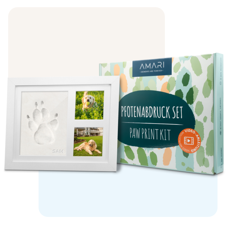 Gipsabdruck Set Pfote