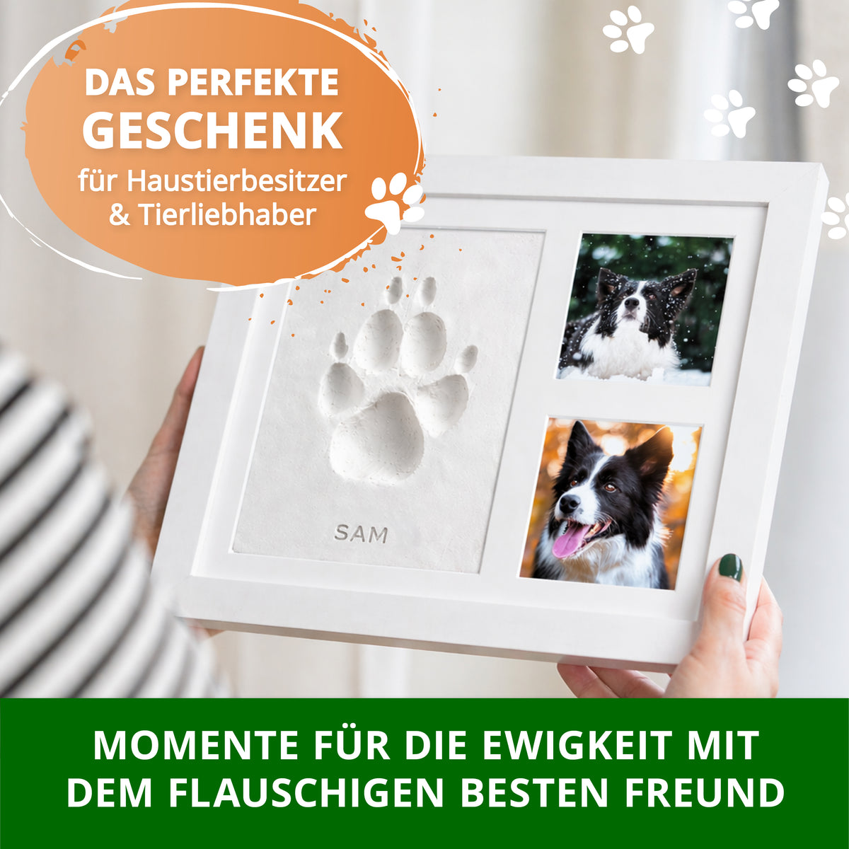 Gipsabdruck Set Pfote
