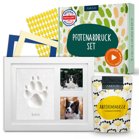 Gipsabdruck Set Pfote