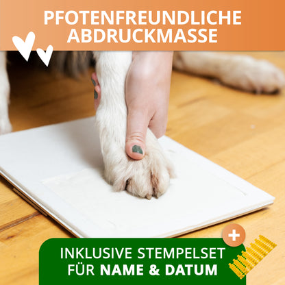 Gipsabdruck Set Pfote