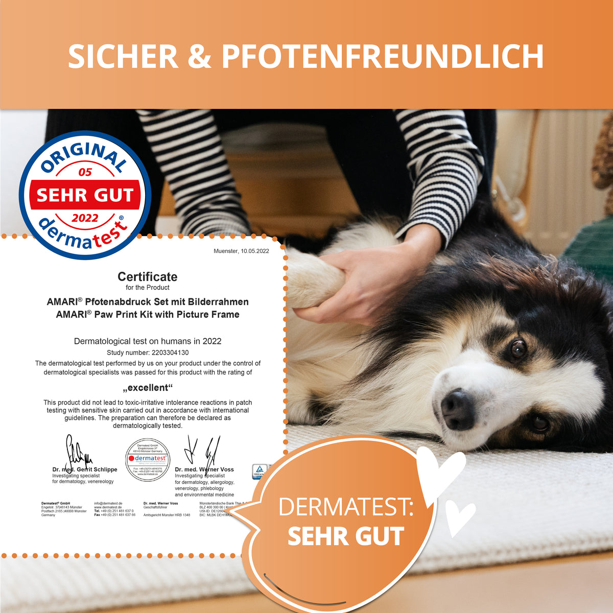 Gipsabdruck Set Pfote