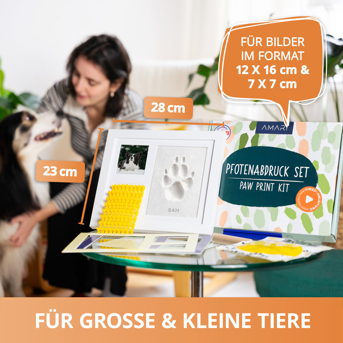 Gipsabdruck Set Pfote