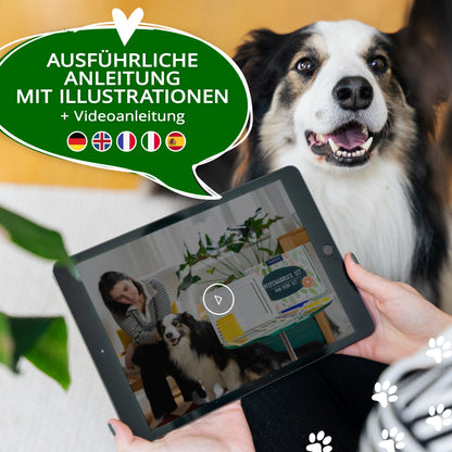 Gipsabdruck Set Pfote