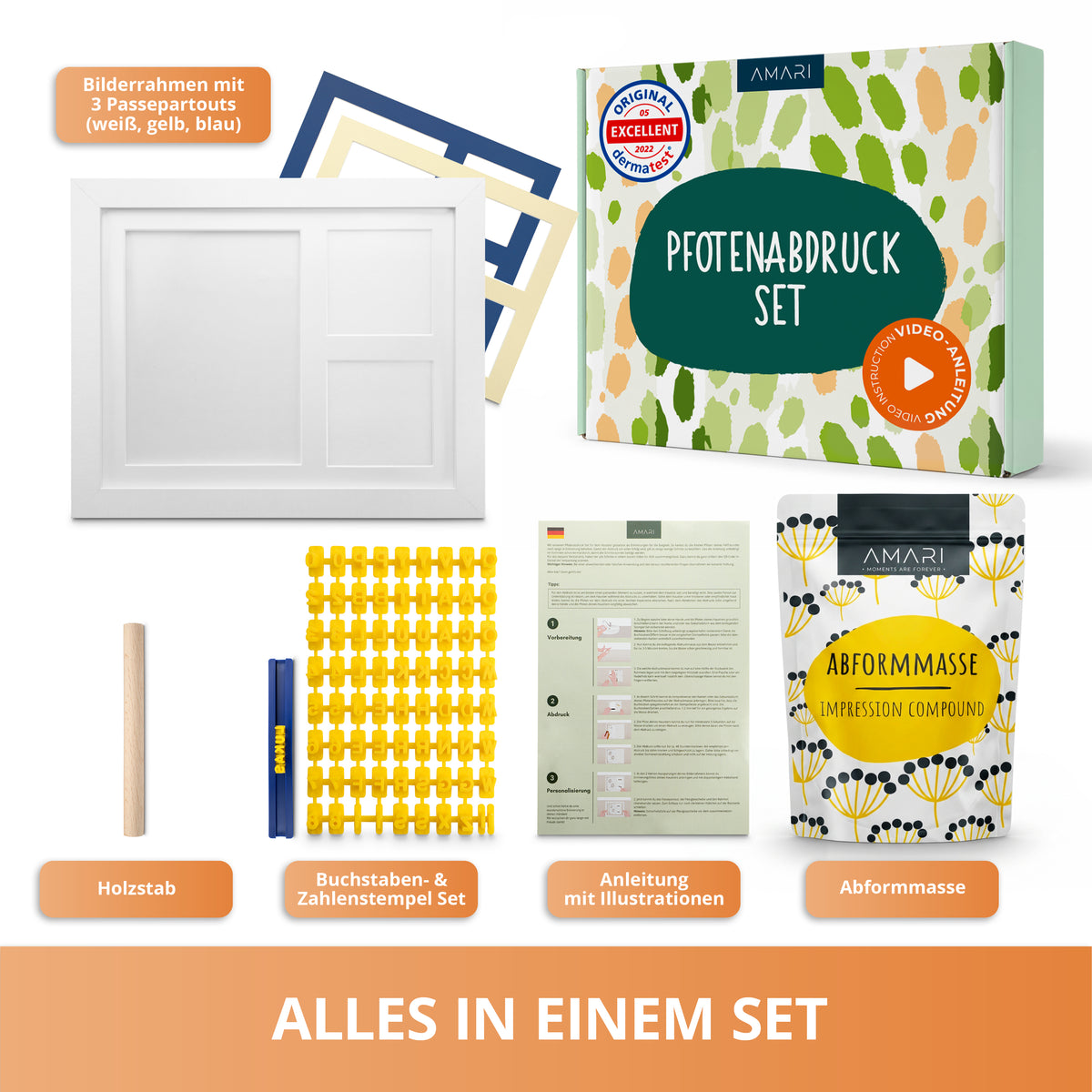 Gipsabdruck Set Pfote