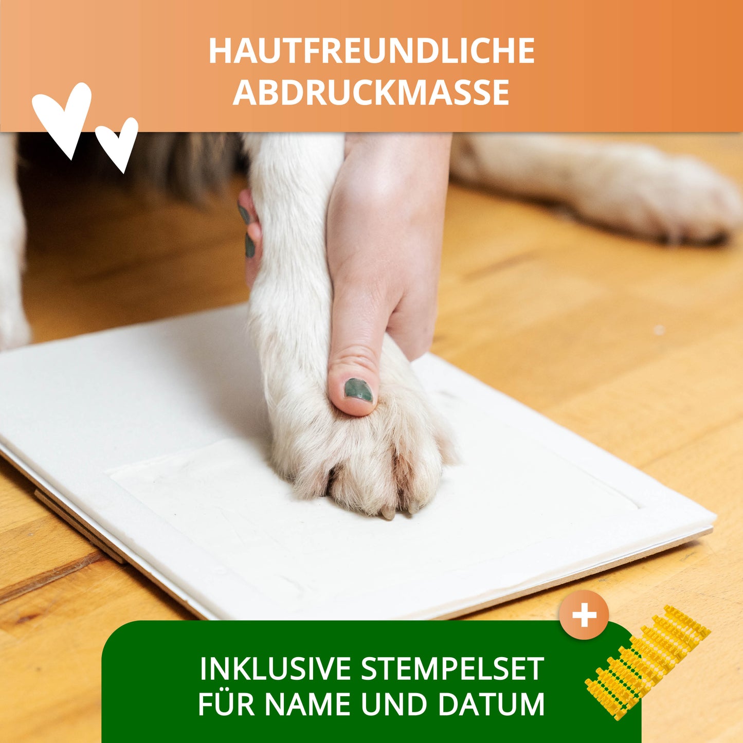 Gipsabdruck Set Pfote