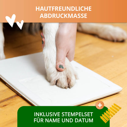 Gipsabdruck Set Pfote
