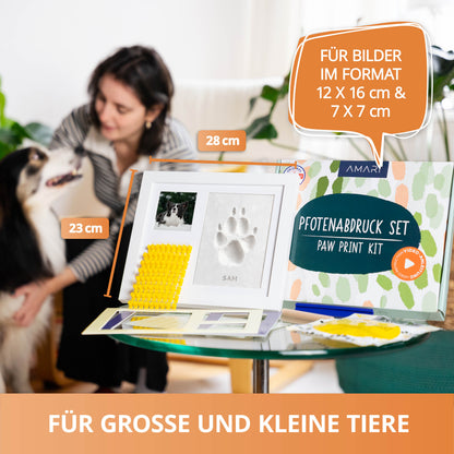 Gipsabdruck Set Pfote