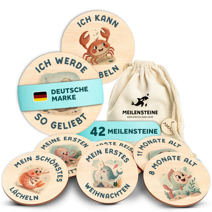 Meilensteinkarten UV Druck: Unterwasserwelt